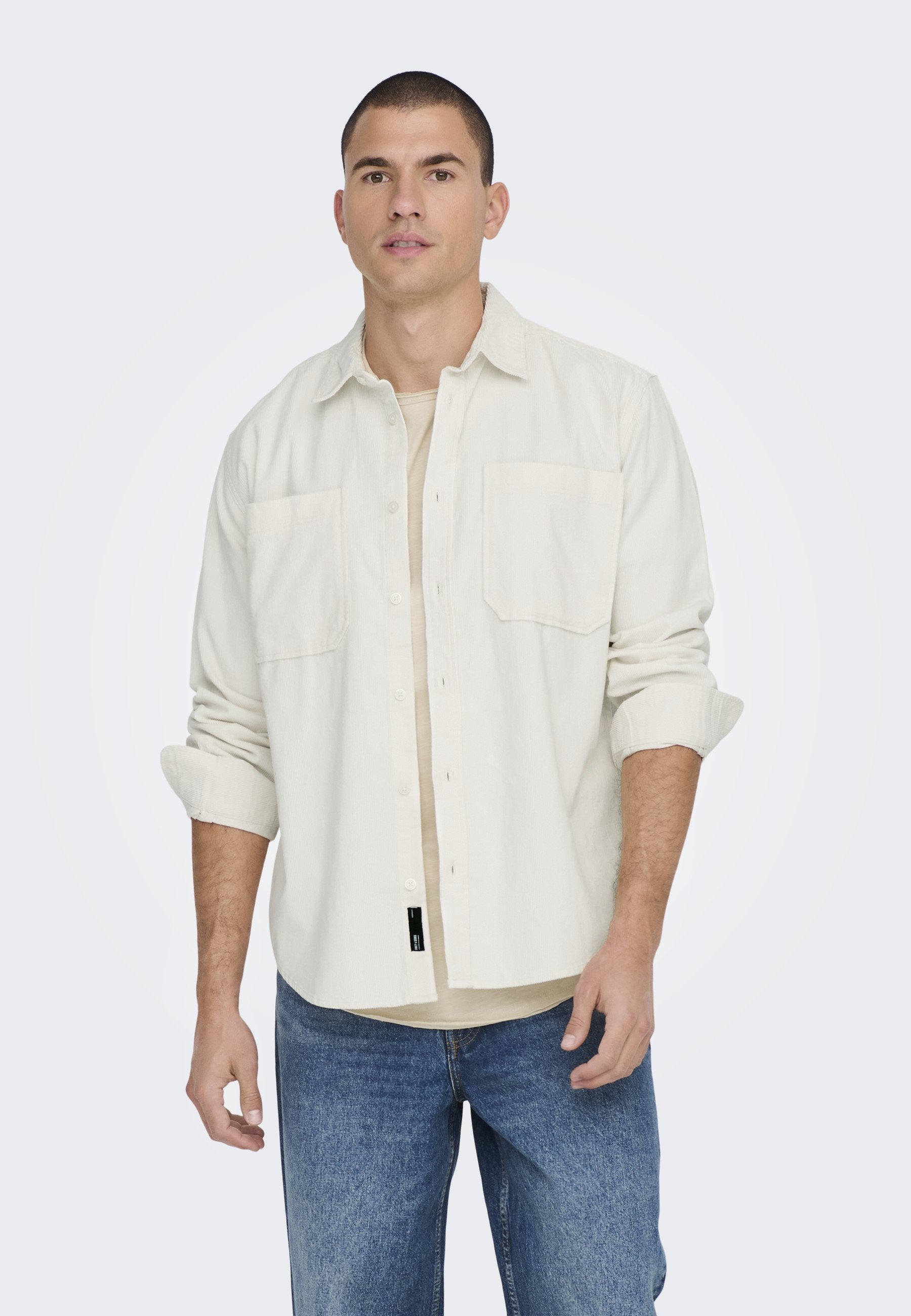 ONSALP RLX 2PKT WASHD LS NOOS - Chemise - cloud dancer